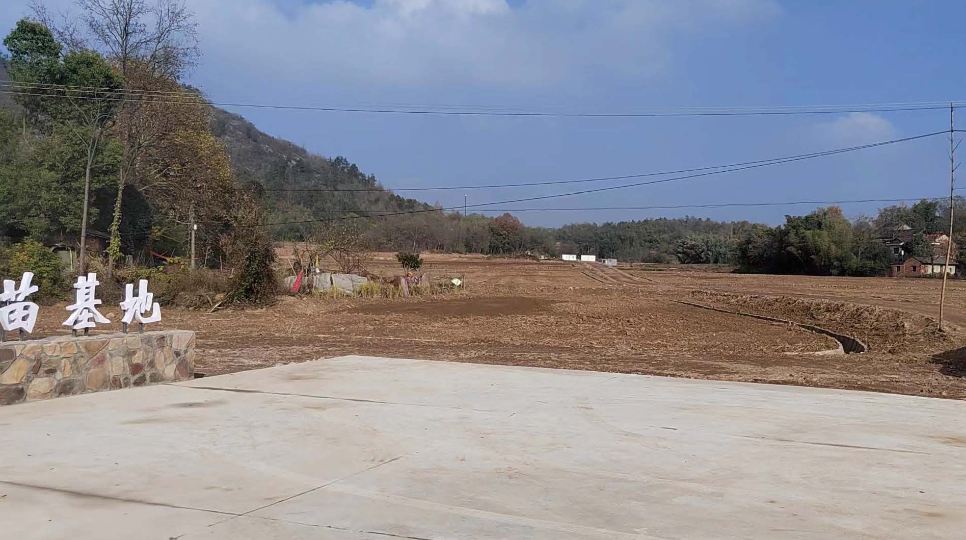 枞阳国家储备林育苗基地项目